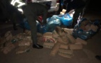 ​Keur Massar: 105 kilos de chanvre indien saisie dans la forêt de Mbao