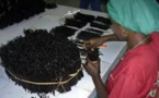 Madagascar: le prix plancher de 250 dollars le kilo de vanille continue de faire polémique