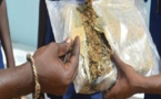 Touba: Un agent de Mansour Faye interpellé avec du chanvre indien