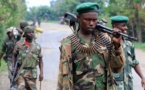 RDC: au 25 civils tués par le groupe armé ougandais