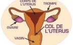 Tambacounda : Dépistage du Col de l’Utérus à 2500 F Cfa