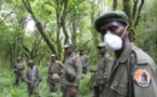 RDC: au moins six gardes-parc tués dans une attaque dans le parc des Virunga