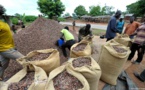 Cacao durable: la Côte d'Ivoire doit s'adapter aux nouvelles exigences de l'UE