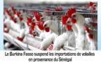 Le Burkina Fasso suspend les importations de volailles en provenance du Sénégal
