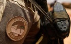 Sahel: la France appelle à un «sursaut diplomatique et politique»