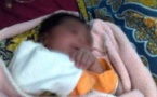 Ziguinchor: Un nouveau-né retrouvé dans une fosse septique