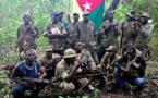 Démantèlement de 5 bases rebelles en Casamance: la longue histoire du Front Sud du Mfdc