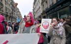 Légers incidents en marge de la manifestation anti-mariage homosexuel