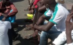 Dakar : une foule immense se dirige vers la Place de la Nation
