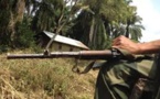 RDC: Washington estime que les rebelles ADF sont affiliés au groupe État islamique