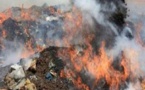Kaffrine : Plus de 8 tonnes de produits prohibés incinérées par la douane