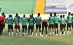 ​Congo/ Sénégal: les "Lions" ont effectué mardi leur première séance d'entraînement