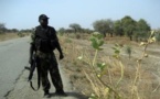 L’assaut contre Boko Haram au Nigeria: des répercussions au Cameroun?