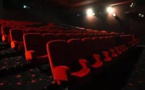 Des sénateurs plaident pour une réouverture sur mesure des lieux culturels en France