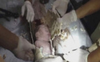 Chine: un nouveau né sauvé de la tuyauterie