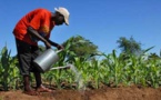 Mali : la BAD appuiera la création d’agropoles et l’emploi féminin dans les chaînes de valeur agricoles 