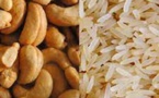 Troc riz contre cajou en Guinée-Bissau, une nécessité alimentaire