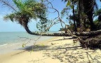 Guinée-Bissau: le tourisme, un secteur porteur en berne