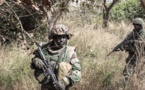 Casamance: l'Armée sénégalaise dément la confrontation avec une bande armée