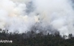 Au moins 19 pompiers trouvent la mort dans un incendie en Arizona