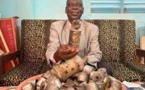 Tchad: les enseignants dénoncent l'usage de grenades lacrymogène dans les lycées