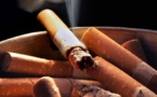 Plaidoyer pour le vote et l’application d’une puissante loi anti tabac au Sénégal
