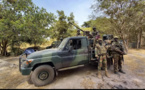 Sénégal: offensive de l'armée contre les rebelles casamançais