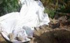Découverte macabre entre Malika et Tivaouane Peulh: une femme tuée et jetée dans les filaos