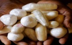 Ouakam: 21 cailloux de crack et 6 sachets de cocaïne saisis par la Dic