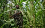 RDC: des inconnus enlèvent 17 personnes en Ituri