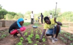AECID et ANIDA organisent un forum virtuel sur l’agriculture familiale et l’agroécologie au Sénégal