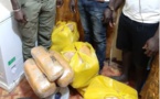 La légion Nord de la gendarmerie saisit 100 kilogrammes de chanvre indien dans un bus