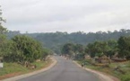 Guinée: la réouverture de la frontière avec le Sénégal ravit les transporteurs