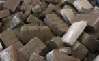 AU MOMENT OU UNE AFFAIRE DE TRAFIC DE DROGUE SECOUE LA POLICE  : La Douane intercepte 500 kilos de chanvre indien