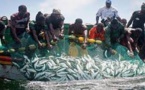 ​ Niayem-sur-mer : les pêcheurs se disent victimes d’attaque perpétrée par les bateaux étrangers
