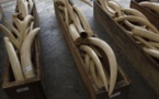 Togo: la police effectue une prise record d'ivoire à Lomé