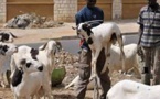 Burkina Faso: sensibilisation au Covid-19 en pleine fête de la Tabaski