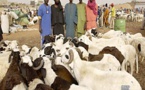 Tabaski 2021: plus de 13.000 moutons invendus dont 5.000 à Dakar (Ministre)