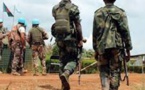 RDC: les contrôles de l’Inspection générale de l’Armée se poursuivent en Ituri et au Nord-Kivu