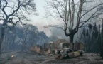 Une vague d'incendies dévastateurs frappe le sud de l'Europe