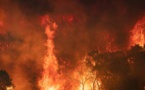 Après l'Algérie, le nord du Maroc ravagé à son tour par des feux de forêts