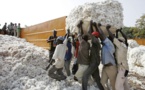 Le Mali veut retrouver sa place de premier producteur de coton en Afrique