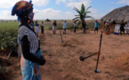 Angola: insécurité alimentaire dans le sud profondément touché par la sécheresse