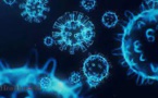 Coronavirus : le C12, un nouveau variant venu d'Afrique du Sud qui inquiète les scientifiques