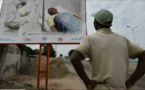 Ebola: «aucune preuve» de la présence du virus en Côte d'Ivoire, selon l’OMS
