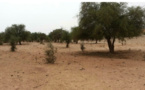 Terrorisme au Niger: le président Bazoum à Tillabéry avec les personnes revenues au village
