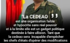"La CEDEAO est une organisation hypocrite, sans réel pouvoir": sur les traces de faux propos attribués au Président Bissau-guinéen