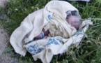 Un corps de nouveau-né découvert dans des ordures à Djeddah Thiaroye Kao