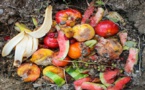 811 millions de personnes souffrent de la faim, le monde gaspille 17% de la nourriture qu'il produit (FAO)