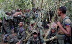 RDC: des rebelles, membres présumés des ADF, écument des villages du Nord-Kivu